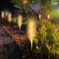 Pampas Luminose a Energia Solare