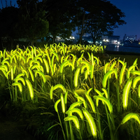 Spighe Luminose a Energia Solare