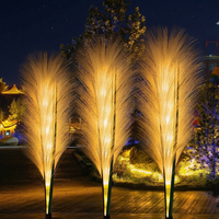 Pampas Luminose a Energia Solare